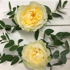 corsage