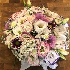 Cute Eustoma