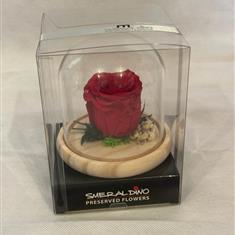 for ever rose 