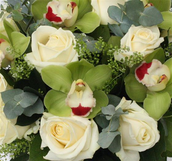Extra Whte Roses Exotic White Roses Rose Arrows West Drayton Florist